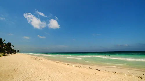 Dos Ceibas Tulum - Massage & Yoga Inclusive