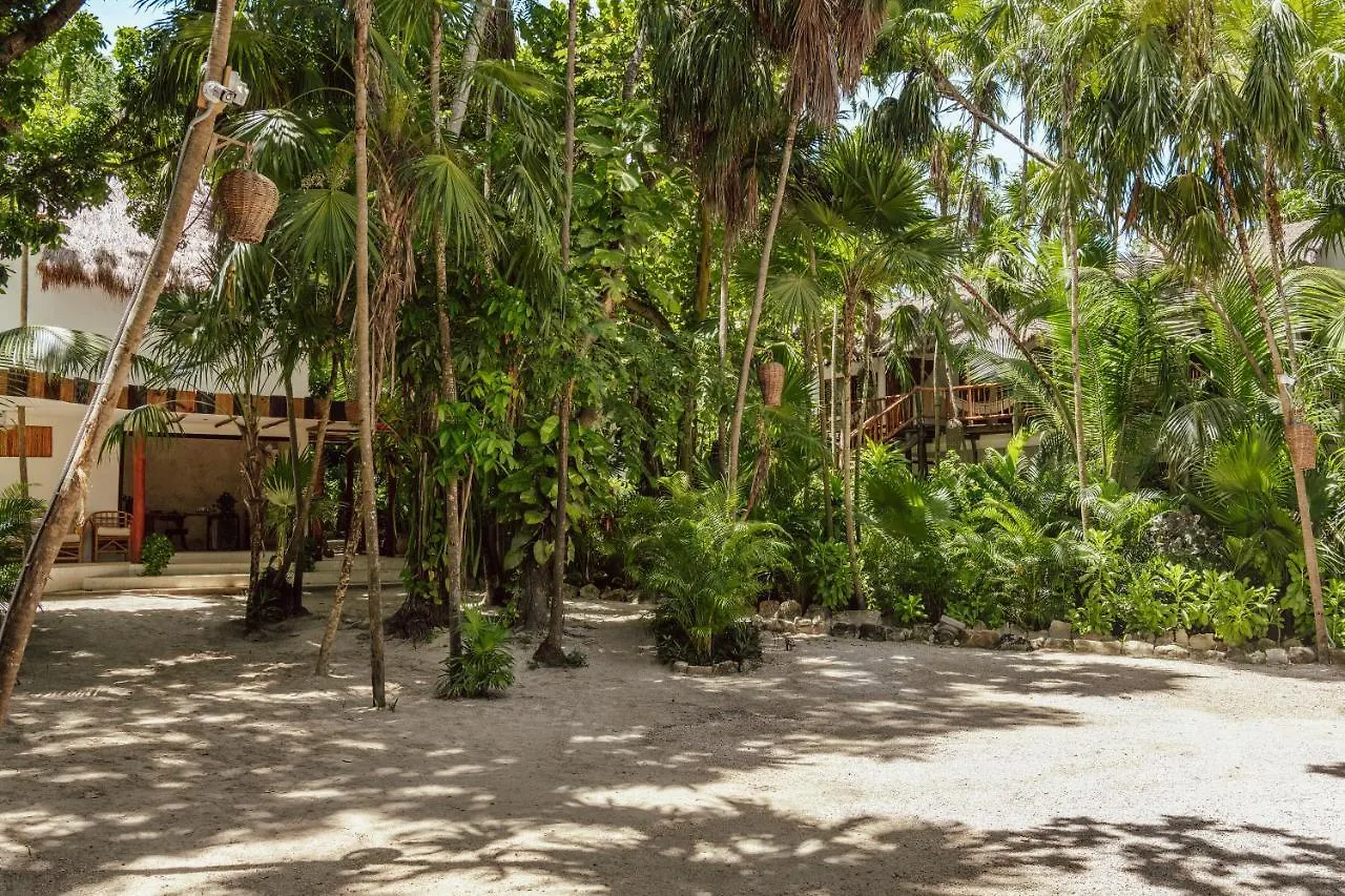 Hotel Dos Ceibas Tulum - Massage & Yoga Inclusive