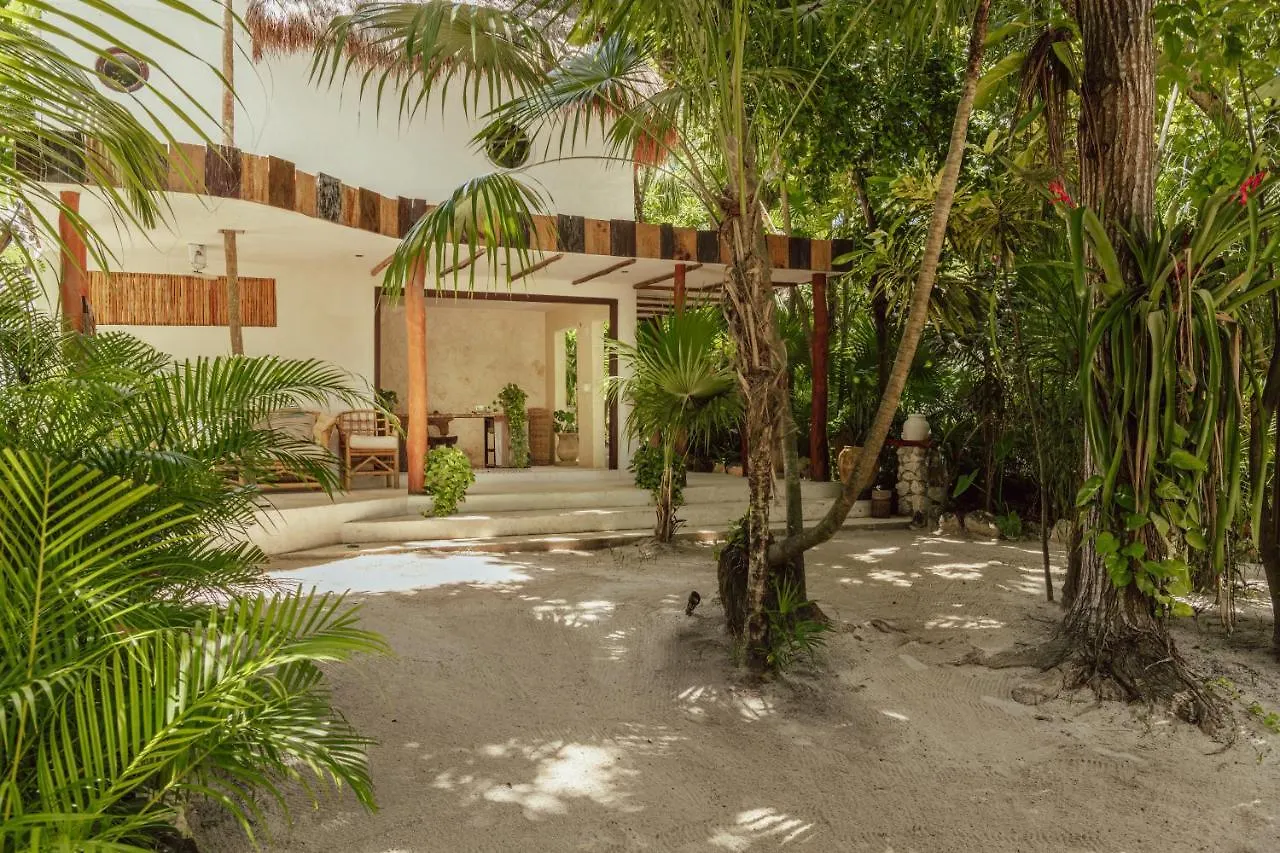 Hotel Dos Ceibas Tulum - Massage & Yoga Inclusive